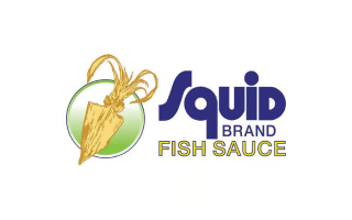 Logo Squid